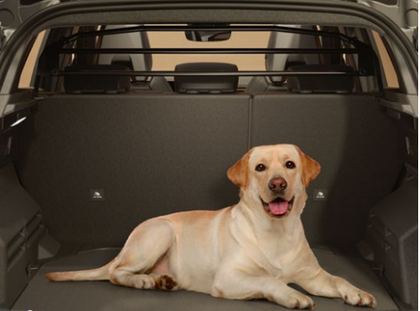 Renault Dog guard - Austral