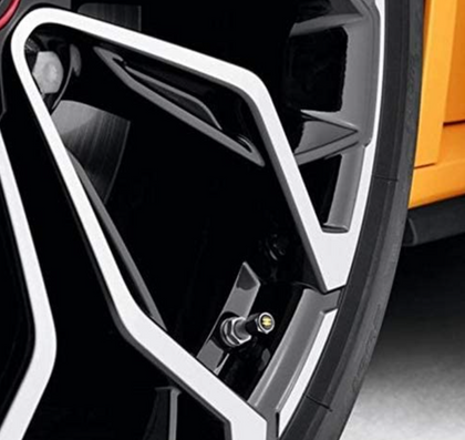 Renault R.S. Valve Caps