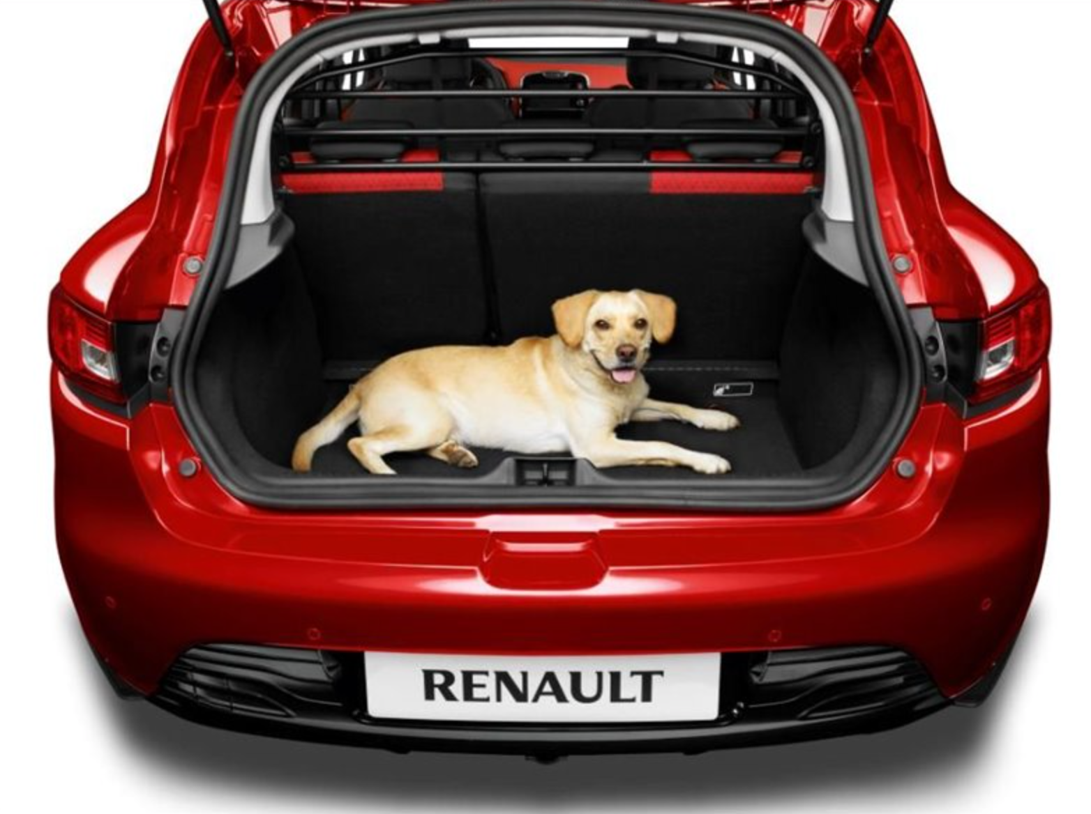 Renault on sale dog guard
