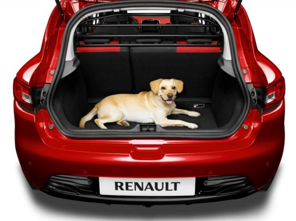 Renault Dog Guard/Separation Grille - Clio IIII